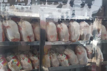 رکورد توزیع مرغ در مشهد شکسته شد