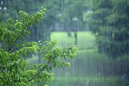 کشاورزان ،دامداران، مرغداران،زنبورداران و  گلخانه‌داران هشدار بارش باران و وزش باد را جدی بگیرند